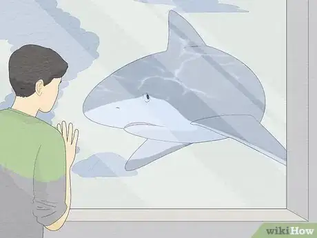 Image titled Get over Your Fear of Sharks Step 11