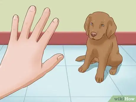 Image titled Train a Deaf Puppy Step 11