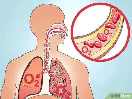 Image titled Measure Oxygen Saturation Using Pulse Oximeter Step 1