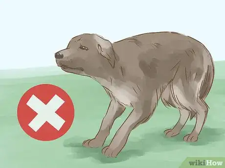 Image titled Look Friendly to Dogs Step 11