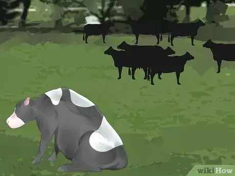 Image titled Tell if a Cow or Heifer Is About to Give Birth Step 8