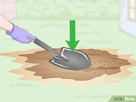 Image titled Get Rid of an Ant Hill Step 14