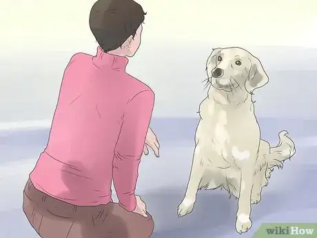 Image titled Bond With Your Dog Step 13