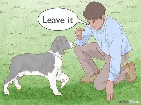 Image titled Get Dogs to Not Eat Rabbit Poop Step 5