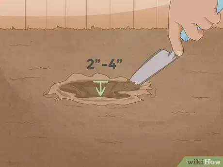 Image titled Test Soil pH Step 1