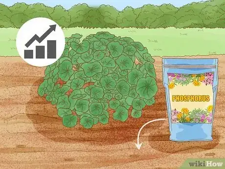 Image titled Add Phosphorus to Soil Step 8