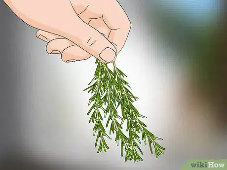 Image titled Prepare Rosemary for Hair Step 2