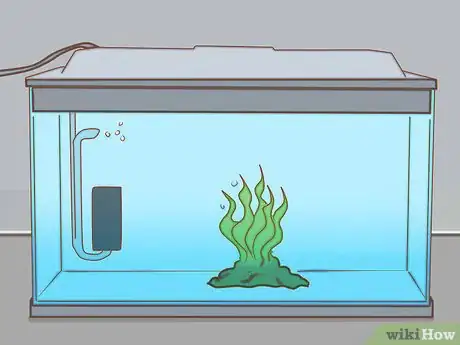 Image titled Add Fish to a New Tank Step 12