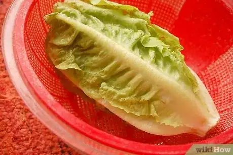 Image titled Make Lettuce Extra Crispy Step 5