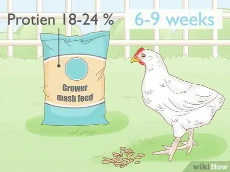 Image titled Start a Chicken Farm Step 22