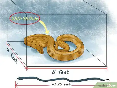 Image titled Look After a Reticulated Python Step 1