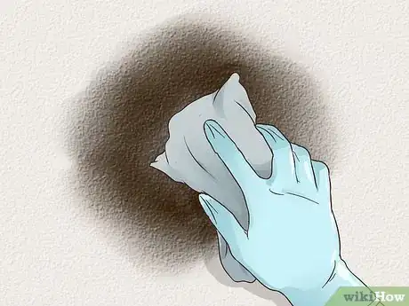 Image titled Identify Black Mold Step 3