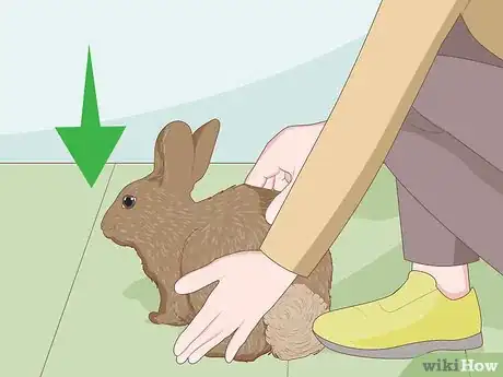 Image titled Care for Dwarf Rabbits Step 14