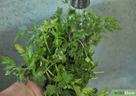 Image titled Make Tabouli Step 1