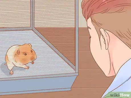 Image titled Pick up a Hamster for the First Time Step 8