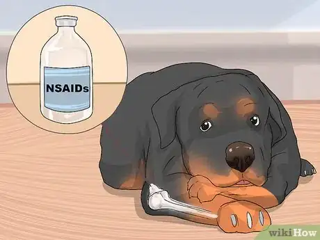 Image titled Treat Dysplasia in Rottweilers Step 8