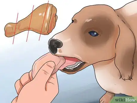 Image titled Treat Dog Diarrhea Step 5