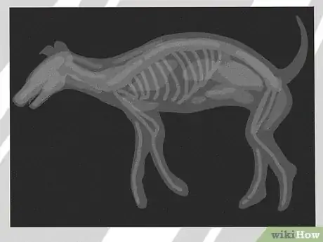 Image titled Spot Signs of Pancreatitis in Dogs Step 15