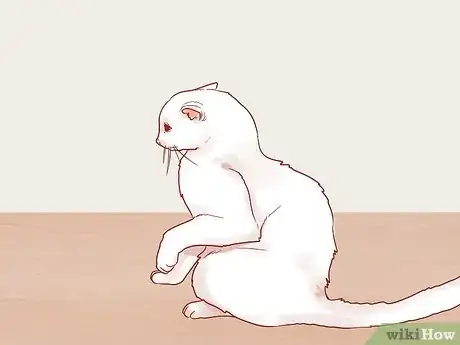 Image titled Know if Your Cat Is Afraid of Something Step 10