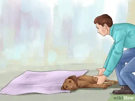 Image titled Carry an Injured Dog Step 5