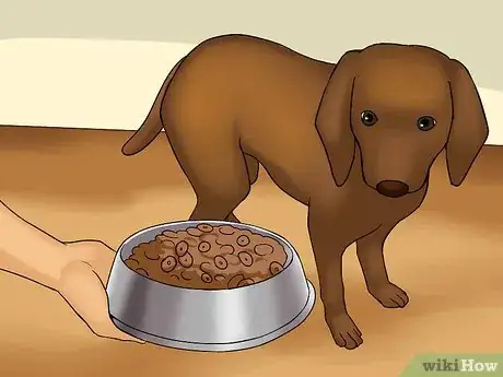 Image titled Read a Pet Food Label Step 9