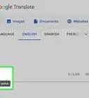 Use Google Translate