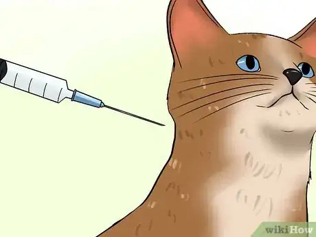 Image titled Care for a Cat with Feline Leukemia Step 5