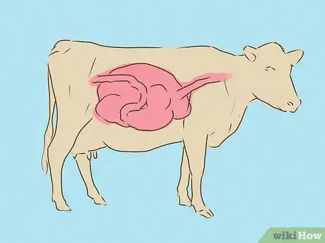 Image titled Avoid Mad Cow Disease Step 2