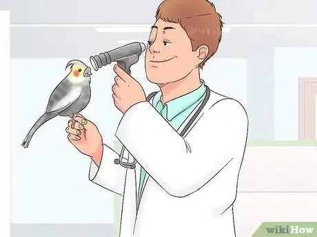 Image titled Treat Conjunctivitis in Cockatiels Step 1