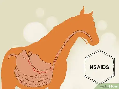 Image titled Treat Lameness in Horses Step 10