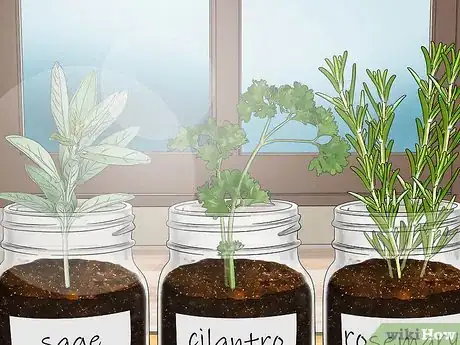 Image titled Build a Mason Jar Herb Garden Step 9