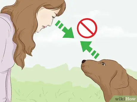 Image titled Stay Safe when a Dog Approaches You Step 2.jpeg