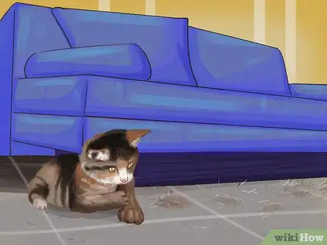 Image titled Know if Your Cat Is Shedding More than Normal Step 7