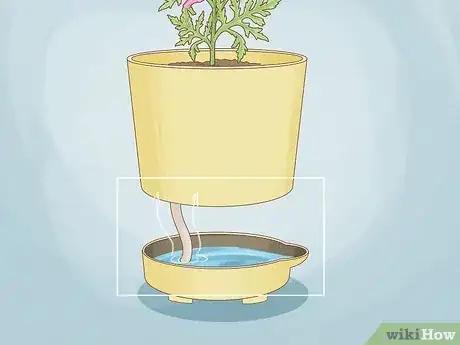 Image titled Use Self Watering Pots Step 6