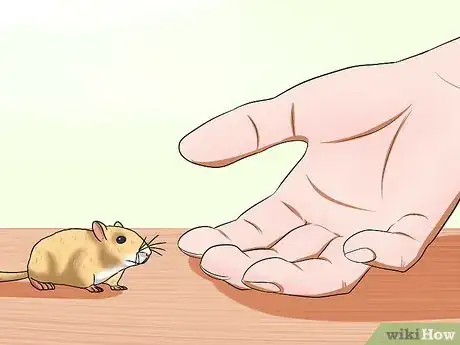 Image titled Pick up a Gerbil Step 7