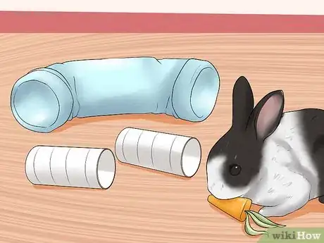 Image titled Care for Dutch Rabbits Step 19