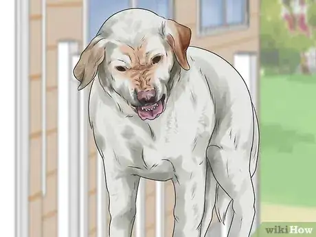 Image titled Get Your Two Dogs to Stop Fighting Step 6