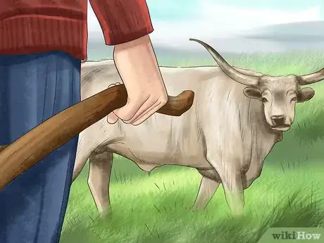 Image titled Avoid or Escape a Bull Step 4
