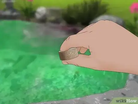 Image titled Remove Algae from a Pond Without Harming Fish Step 3