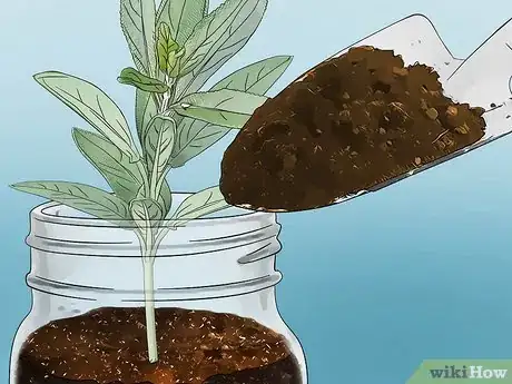 Image titled Build a Mason Jar Herb Garden Step 6