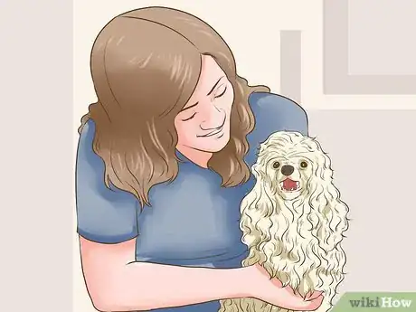 Image titled Choose a Poodle for Breeding Step 9