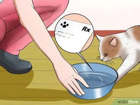 Image titled Treat Bladder Stones in Cats Step 5