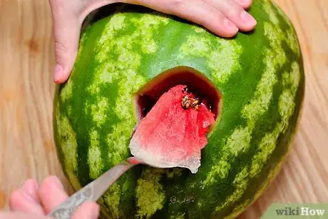 Image titled Plug, Spike, or Cork a Watermelon Step 3