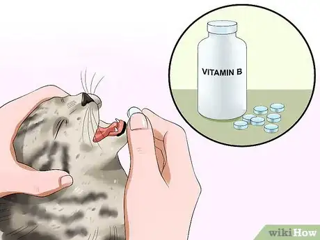 Image titled Treat Feline Panleukopenia (Distemper) Step 10