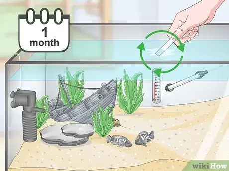 Image titled Set up a Tropical Freshwater Aquarium Step 19