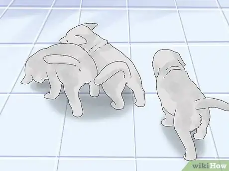 Image titled Take Care of Puppies Step 29