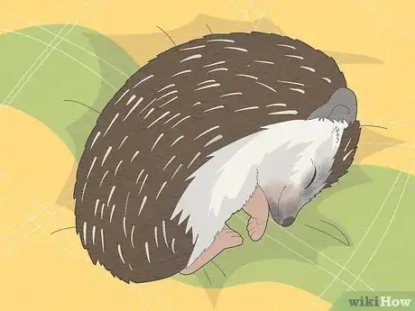 Image titled Take Care of a Hedgehog Step 16