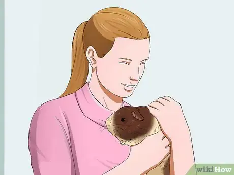 Image titled Get Your Guinea Pig to Trust You Step 14