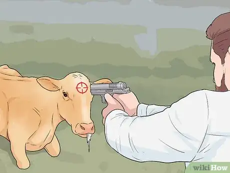 Image titled Humanely Euthanize a Cow Step 28