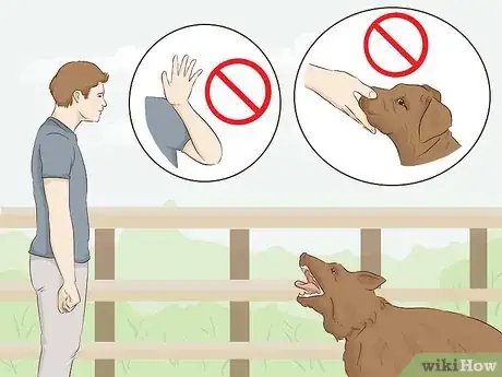 Image titled Stay Safe when a Dog Approaches You Step 1.jpeg